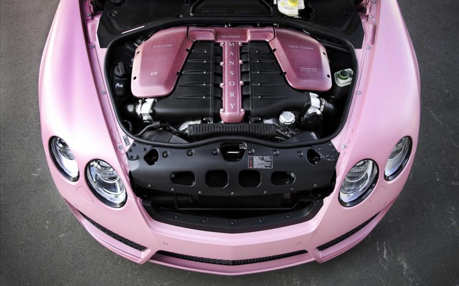  Bentley Continental GT Vitesse Rose by Mansory 2009 года  (фото 24 из 36)
